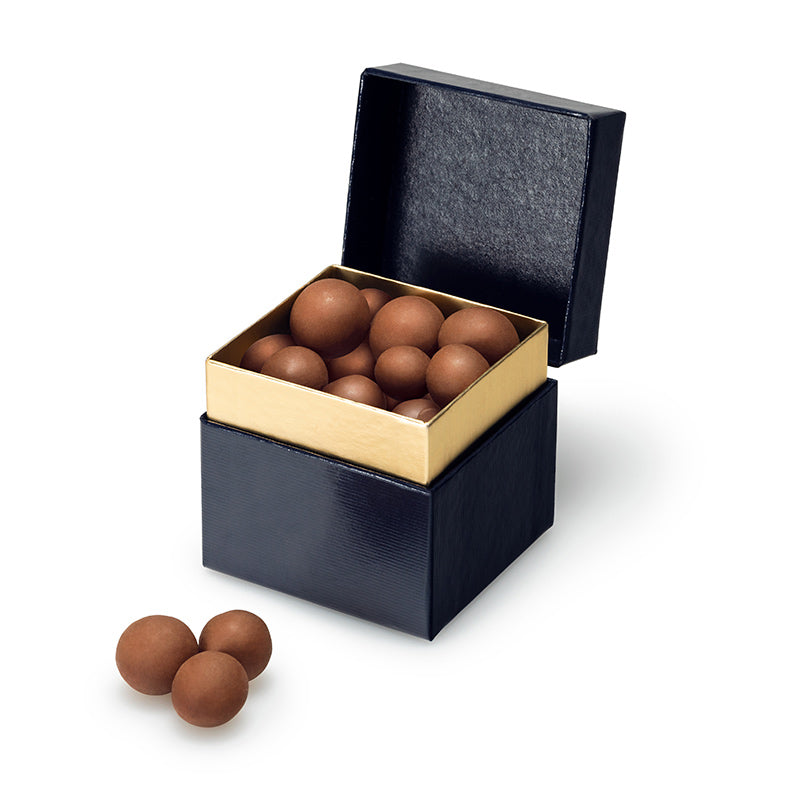 Chocolate Covered Macadamia Nuts