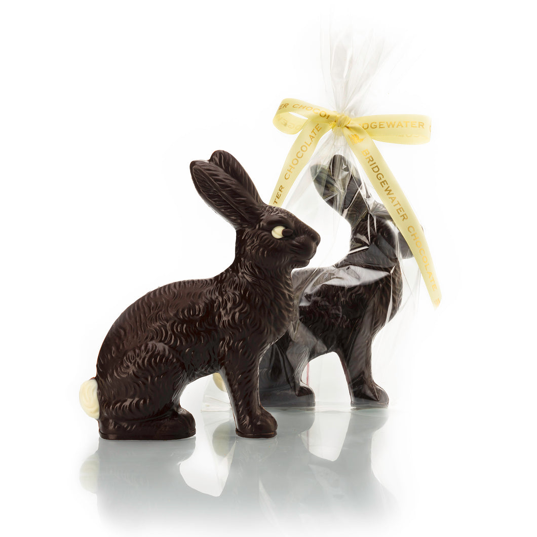Large Solid Chocolate Bunny