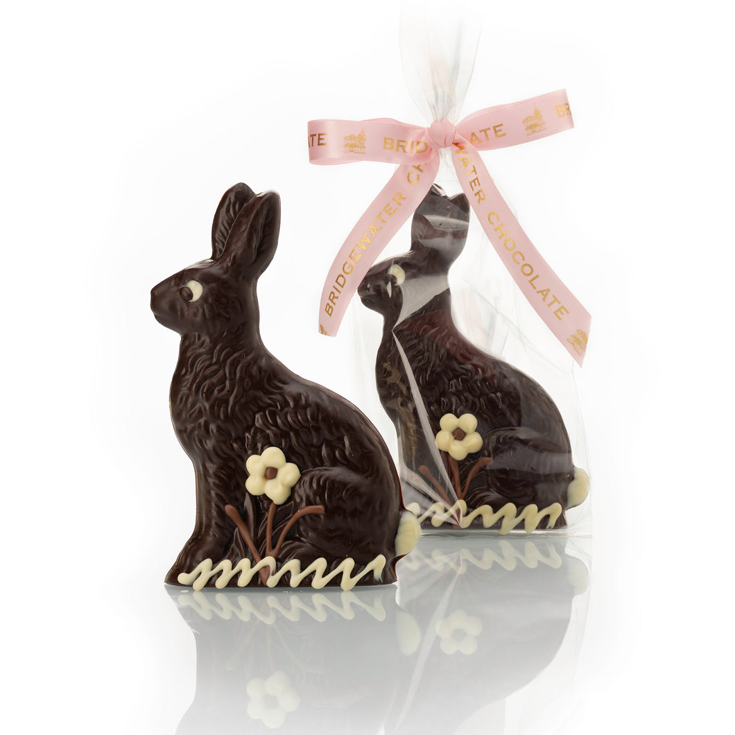 Small Solid Chocolate Bunny