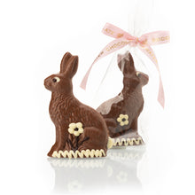 Load image into Gallery viewer, Small Solid Chocolate Bunny
