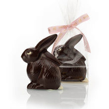 Load image into Gallery viewer, Chocolate Bashful Bunny
