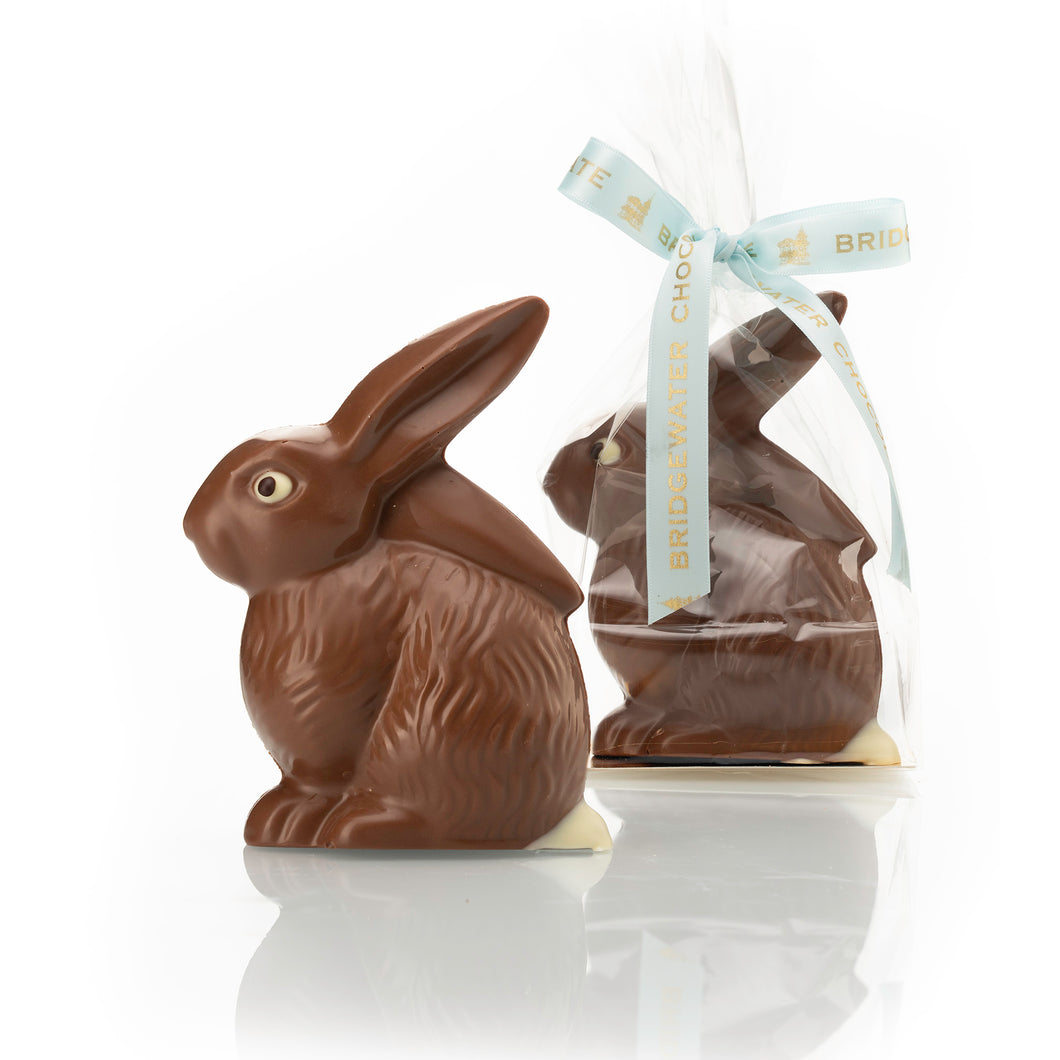 Chocolate Bashful Bunny
