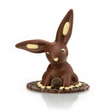 Load image into Gallery viewer, Chocolate Floppy Ear Bunny
