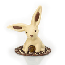 Load image into Gallery viewer, Chocolate Floppy Ear Bunny
